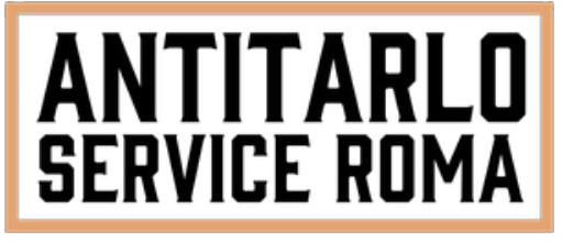 La scritta "ANTITARLO SERVICE ROMA" in lettere maiuscole nere e in grassetto all'interno di una cornice rettangolare color pesca.