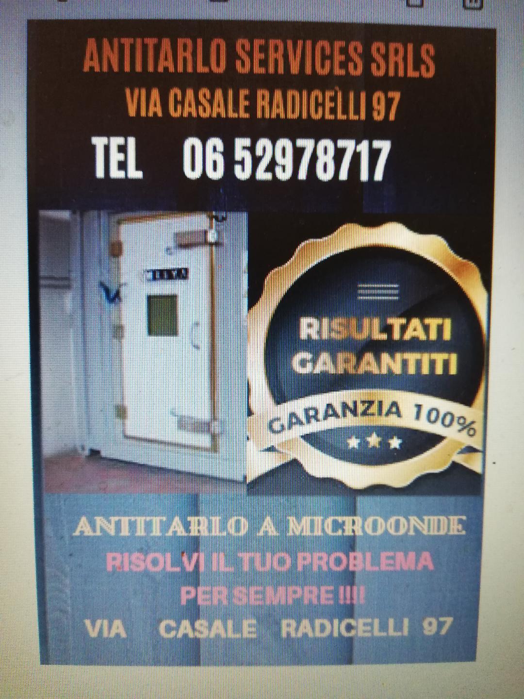 Pubblicità di Antitarlo Services SRLS, che offre un trattamento antitarlo a microonde con garanzia al 100%.