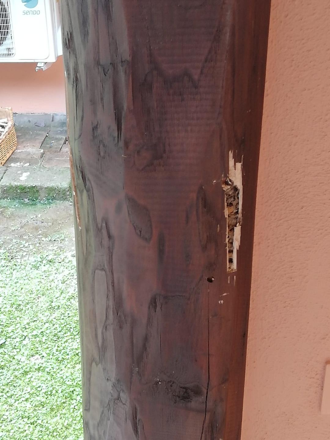 Primo piano di un palo di legno scuro danneggiato, con una crepa verticale e un piccolo elemento metallico attaccato.