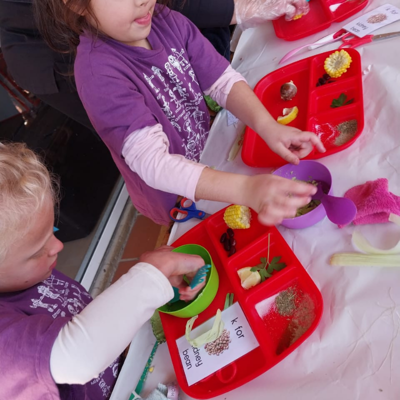 Children in purple shirts sort colorful pom-poms into red trays at a table