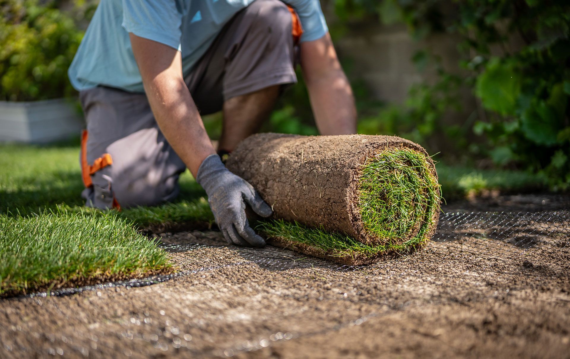 Gardener laying sod for the new lawn