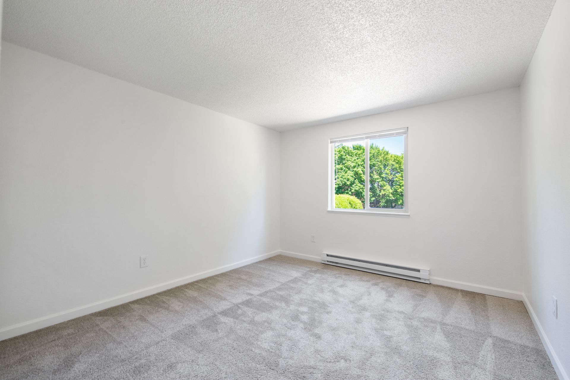 Empty white bedroom with gray carpet and a window showing green trees.
