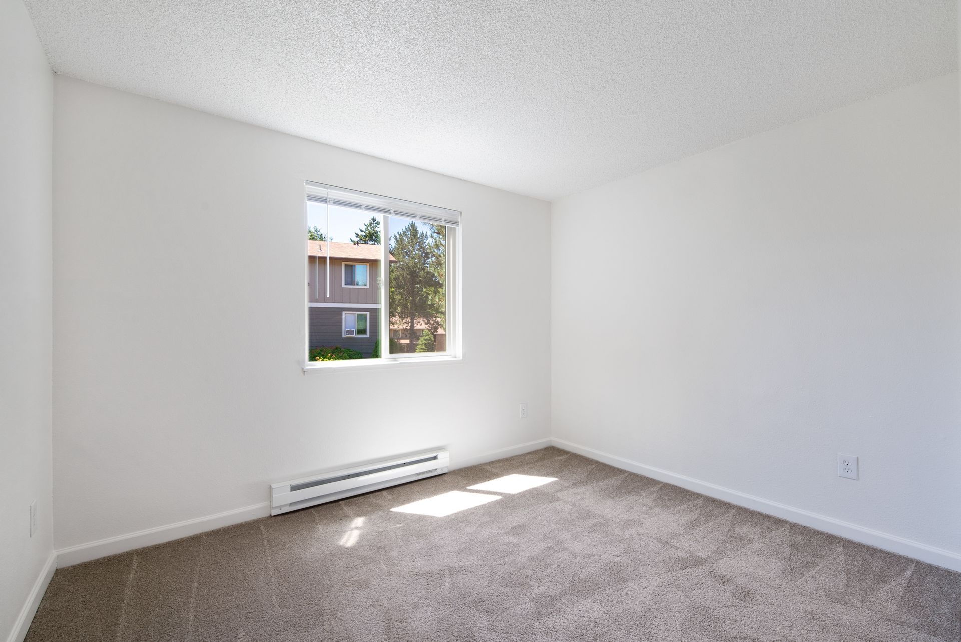 Empty white bedroom with beige carpet, window, and sunlight on the floor
