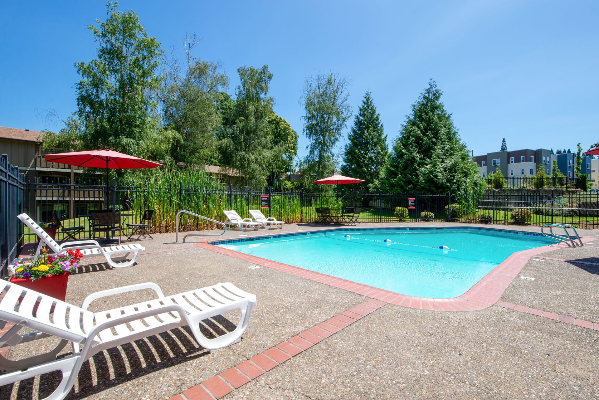 Outdoor swimming pool with red umbrellas, lounge chairs, and trees under a clear blue sky