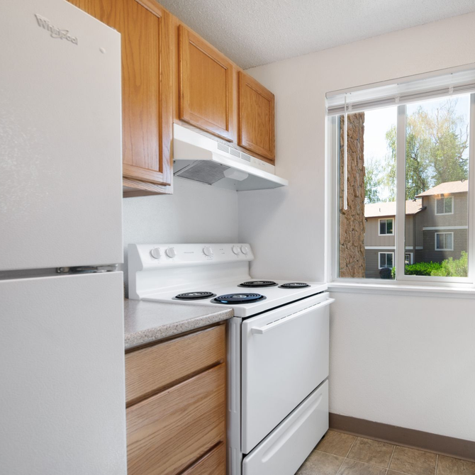 Small white kitchen with stove, refrigerator, wood cabinets, and a window looking out to apartments.