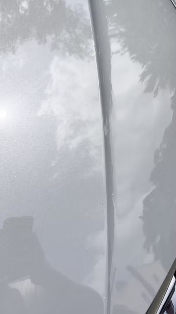 Foggy street scene with a lamppost, a parked car, and tree branches on the right