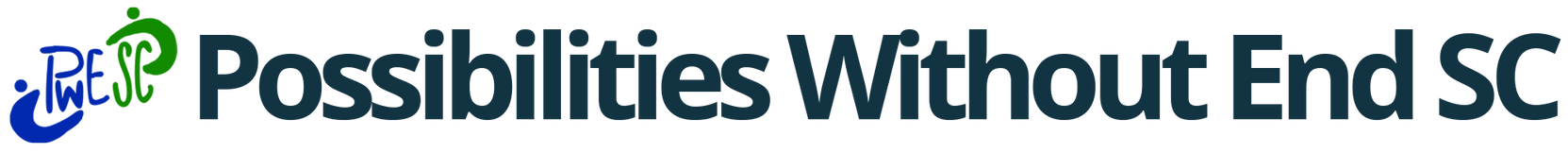 LCD's Possibilities Without End logo