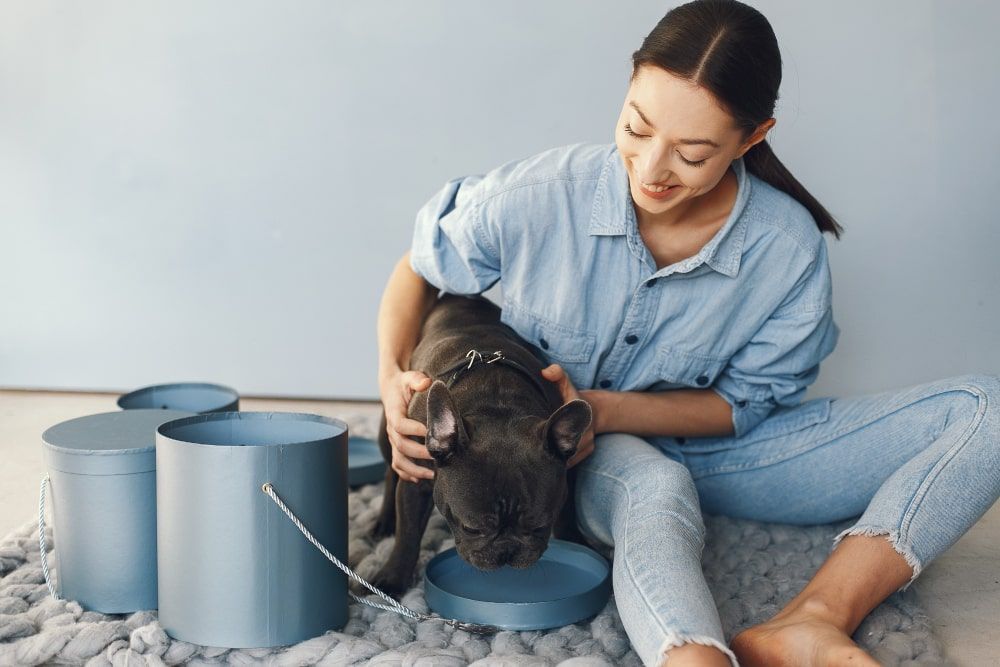 pet services dallas