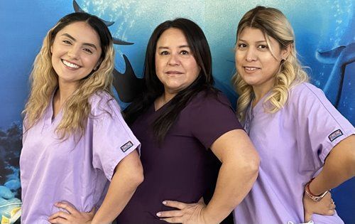 Our  Back Office Staff