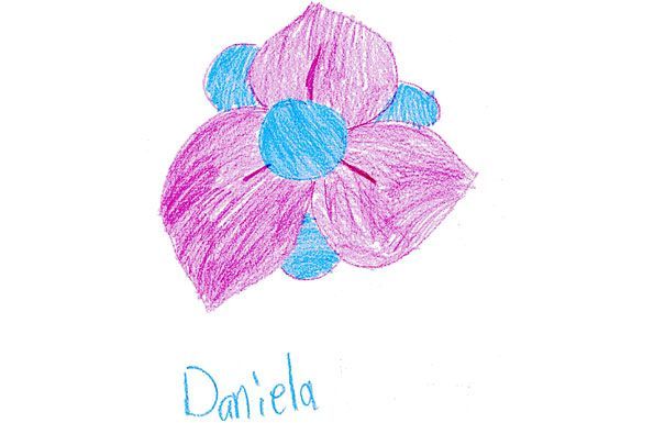 Pink and blue flower drawing with 