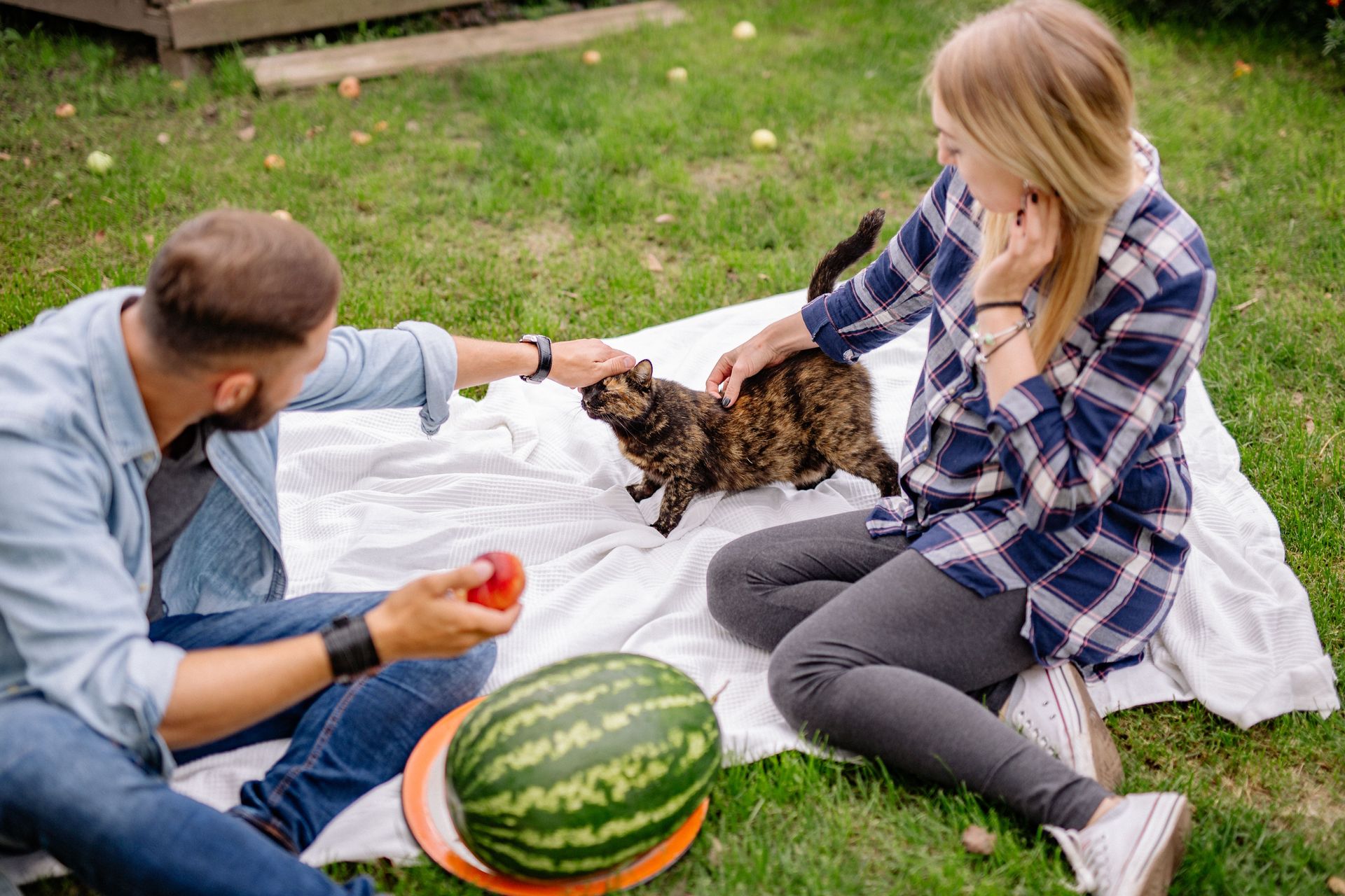 Two people sitting on a blanket pet a cat in a grassy park, with a watermelon in the foreground.