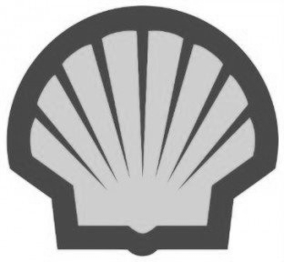 Shell logo: a gray and dark gray scallop shell.