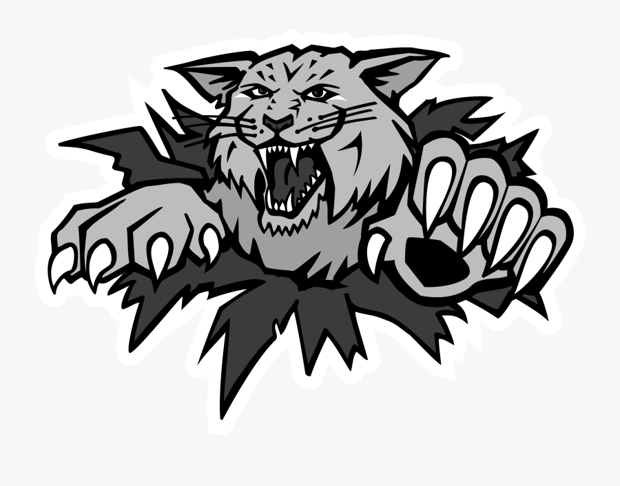 A snarling wildcat with claws, emerging from a ripped background.