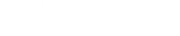 Little Blind Spot Logo