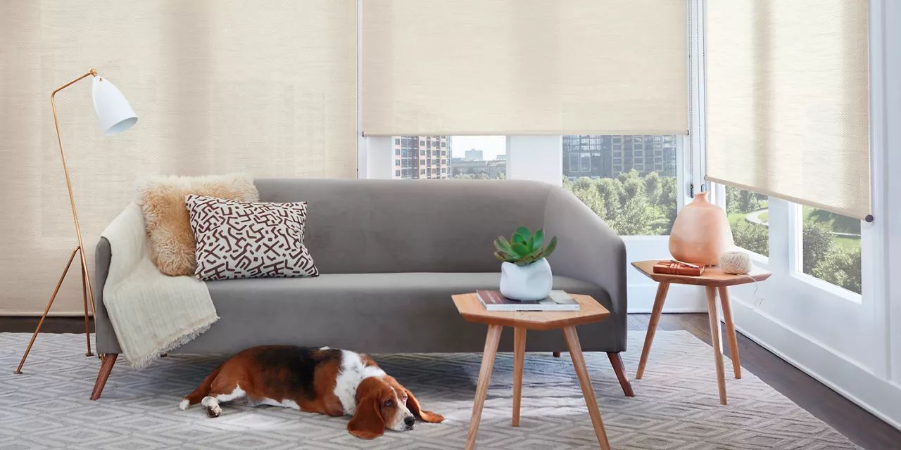 Hunter Douglas Alustra® Woven Textures® Roller Shades with Duolite® system in a home near Hopkins, MN.