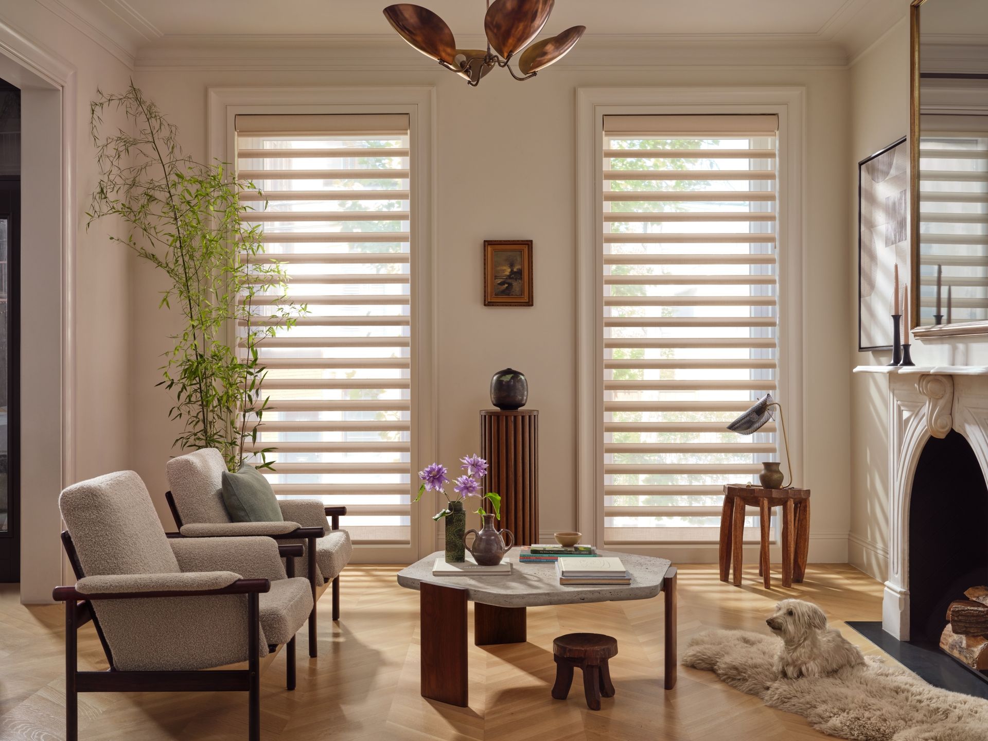 Pirouette Window Shadings