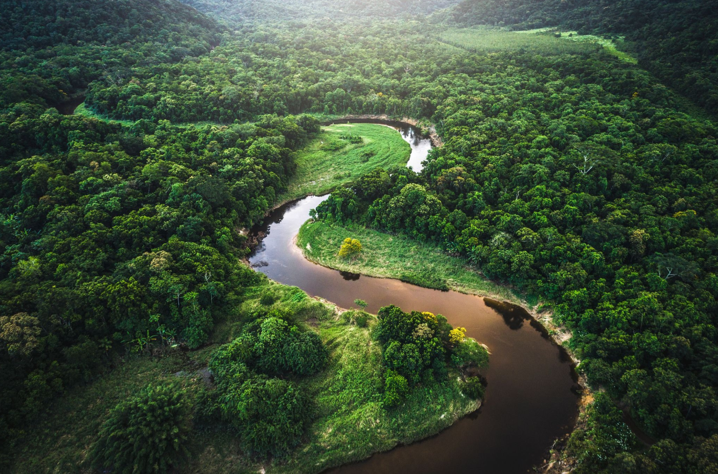 An aerial view of a river running through a lush green forest.