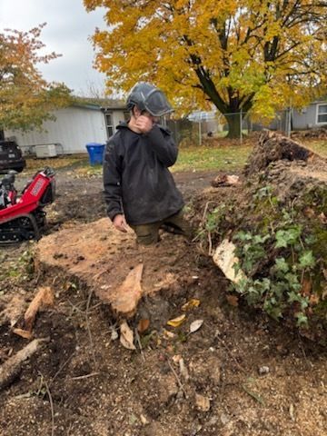 Person in safety gear inspecting a freshly cut tree stump outdoors with fall foliage.