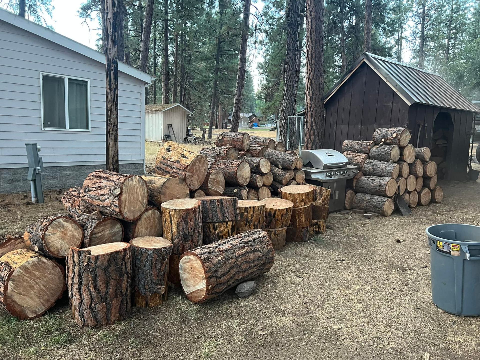A pile of logs is sitting in front of a house.