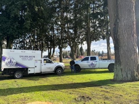 Two utility trucks parked on grass in a wooded park, with a person between them