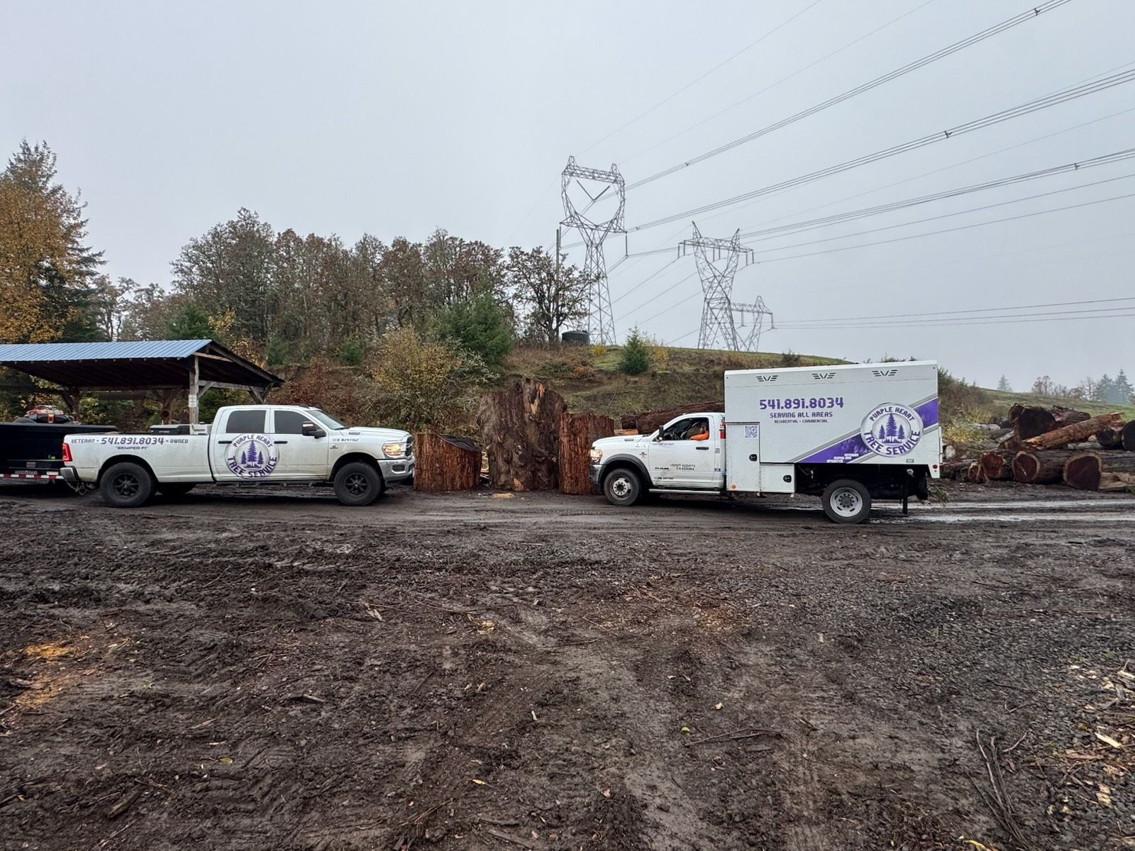 Two white work trucks parked on a muddy lot, near a shed and power lines.
