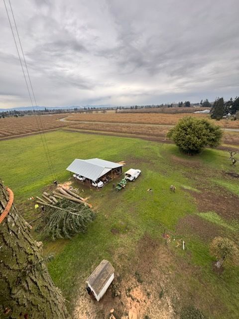 Rural field with a small shed, parked truck, bench, and cloudy sky after rain