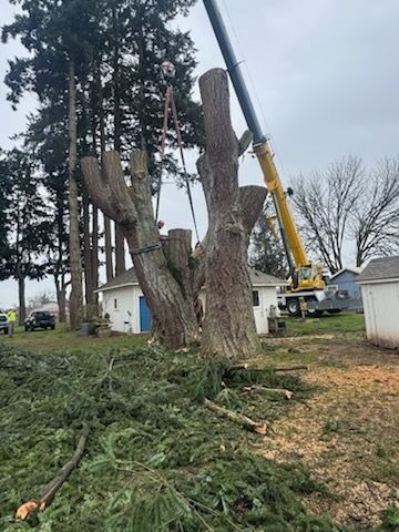 Tree-trimming work beside a house, with a crane lifting cut branches near large cut tree trunks.