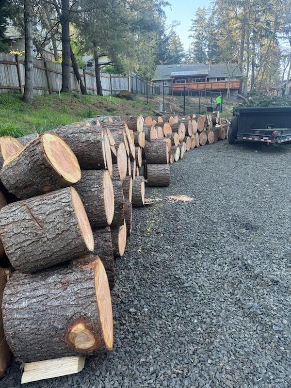 Pile of freshly cut logs on gravel, with a building and trees in the background.
