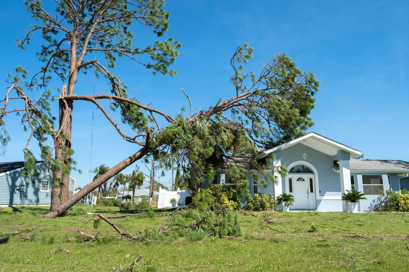 Storm-damaged tree fallen near a white house under a clear blue sky