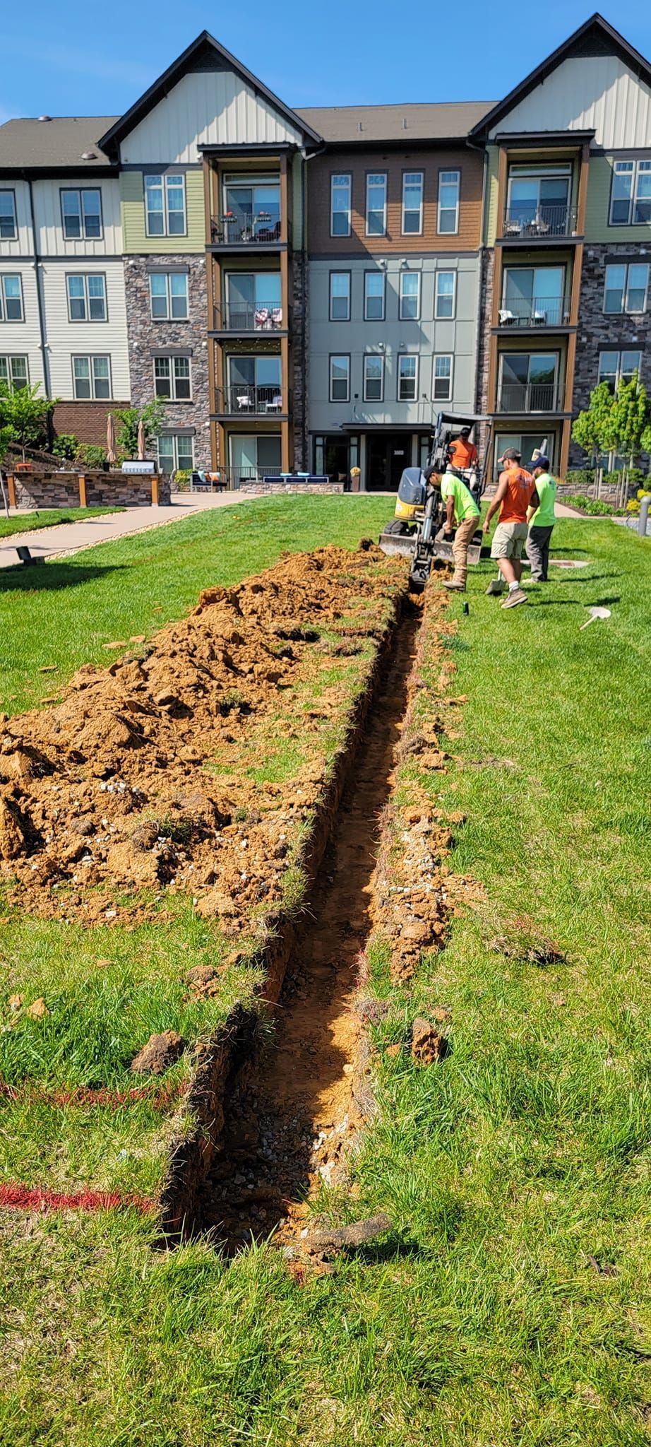 A group of construction workers are digging a trench in the grass in front of a building.