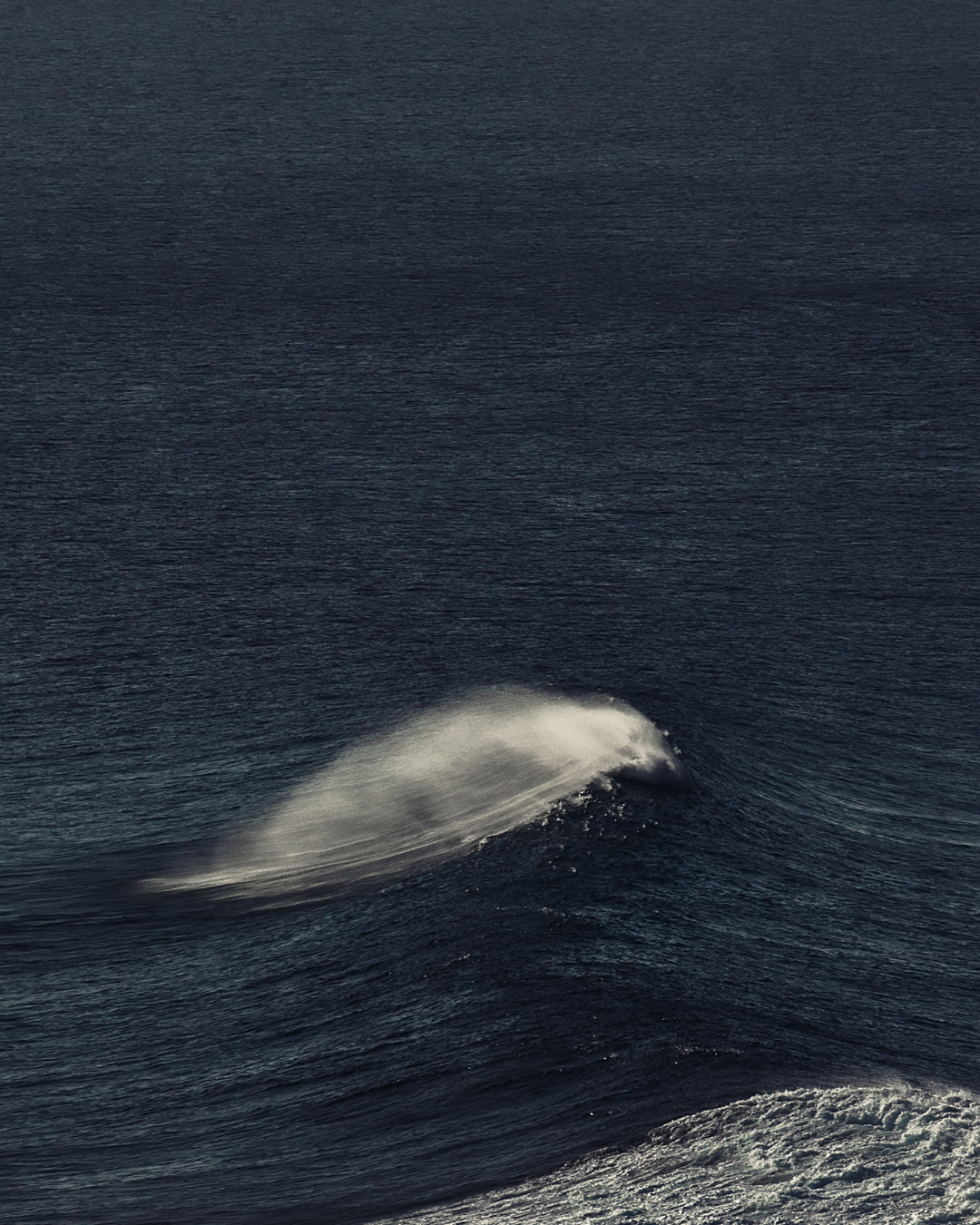 A white whale surfacing in dark blue ocean water, with a wake trailing behind it.