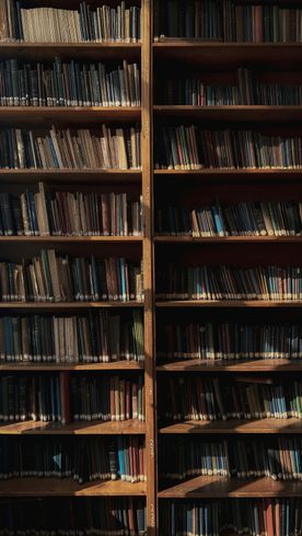 Wooden bookshelves filled with books, with narrow vertical and horizontal framing lines.