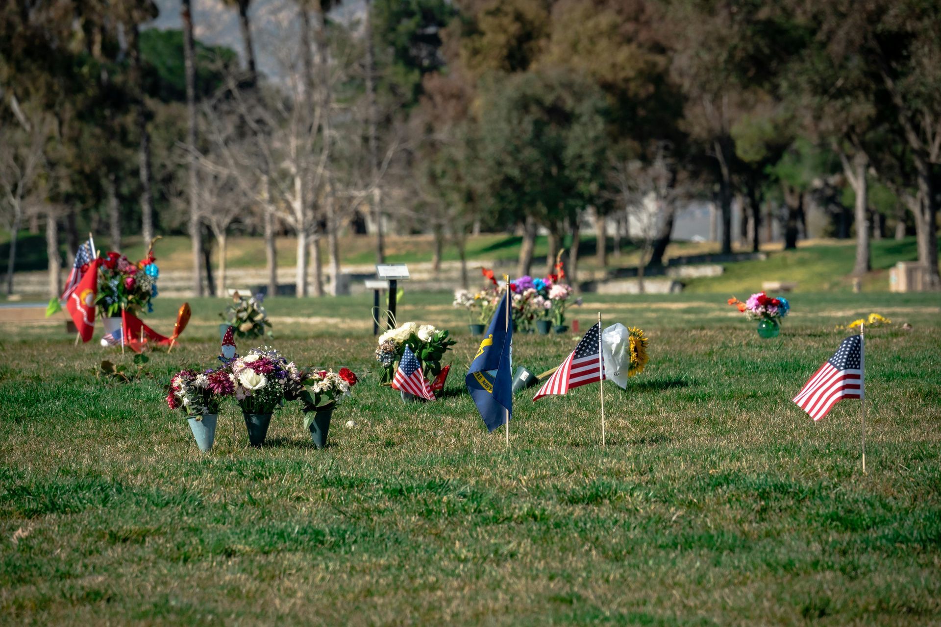 veteran support groups