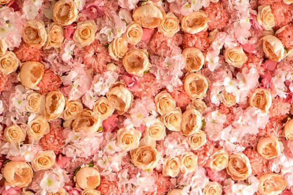 there are many different types of flowers in this picture .