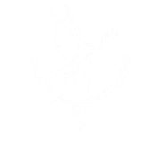 Mostly white blank image with a faint gray gradient and a thin black strip along the bottom edge