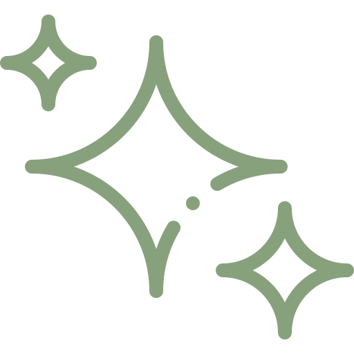 Twinkle Star Icon