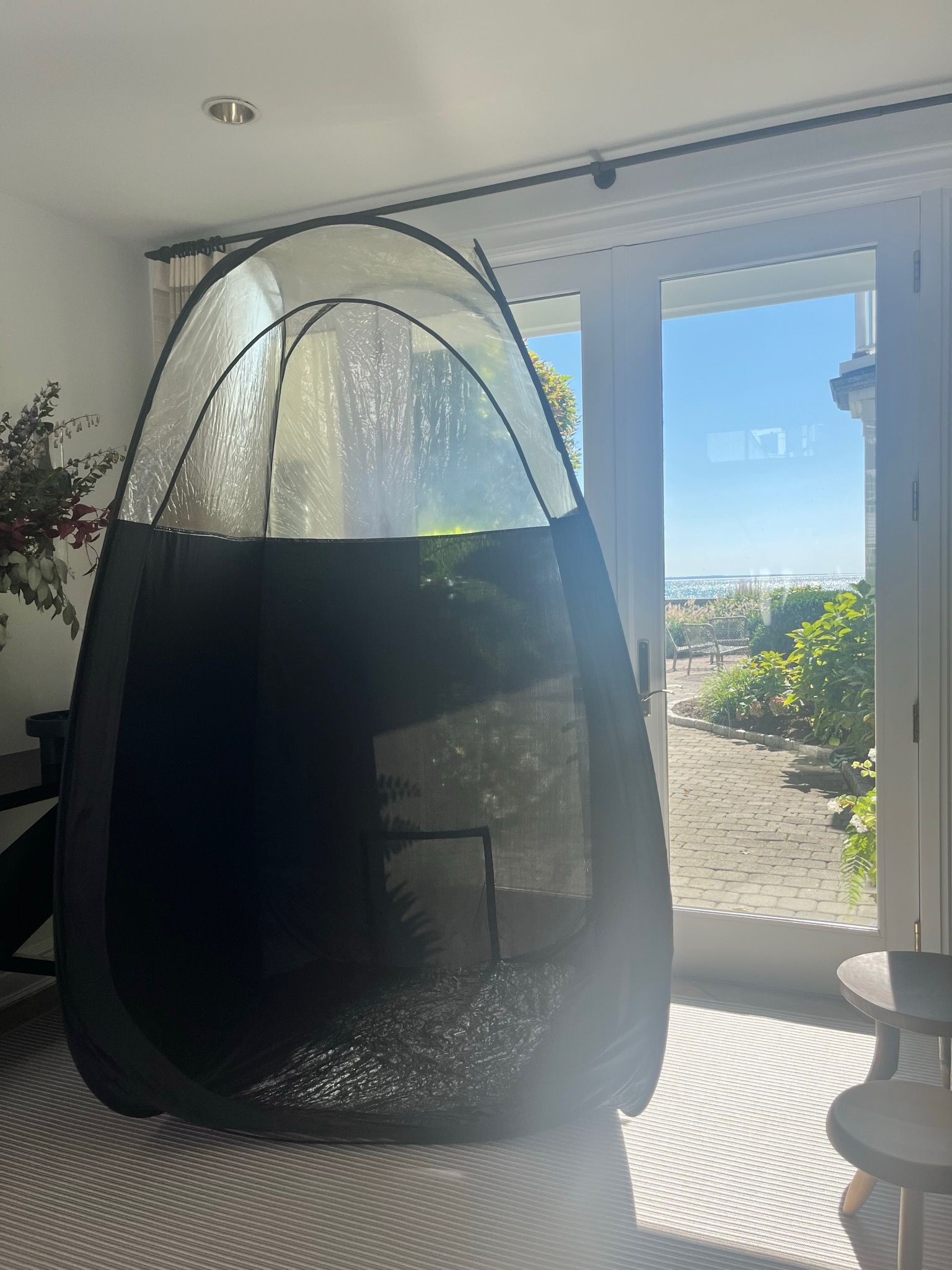 Black mesh pet tent beside a bright glass door in a sunlit room