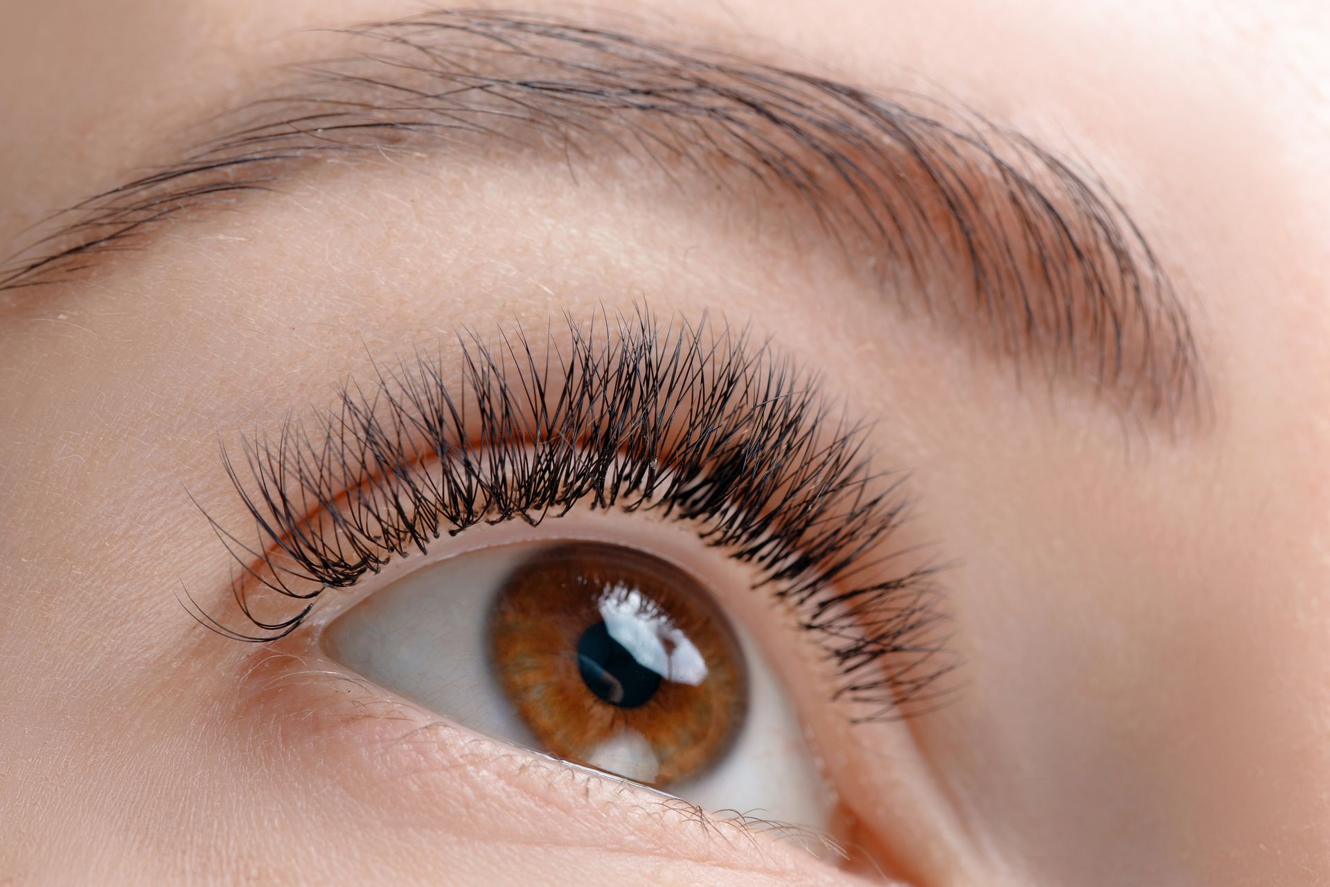 Close-up of a brown eye with long eyelashes and shaped eyebrow, looking upward