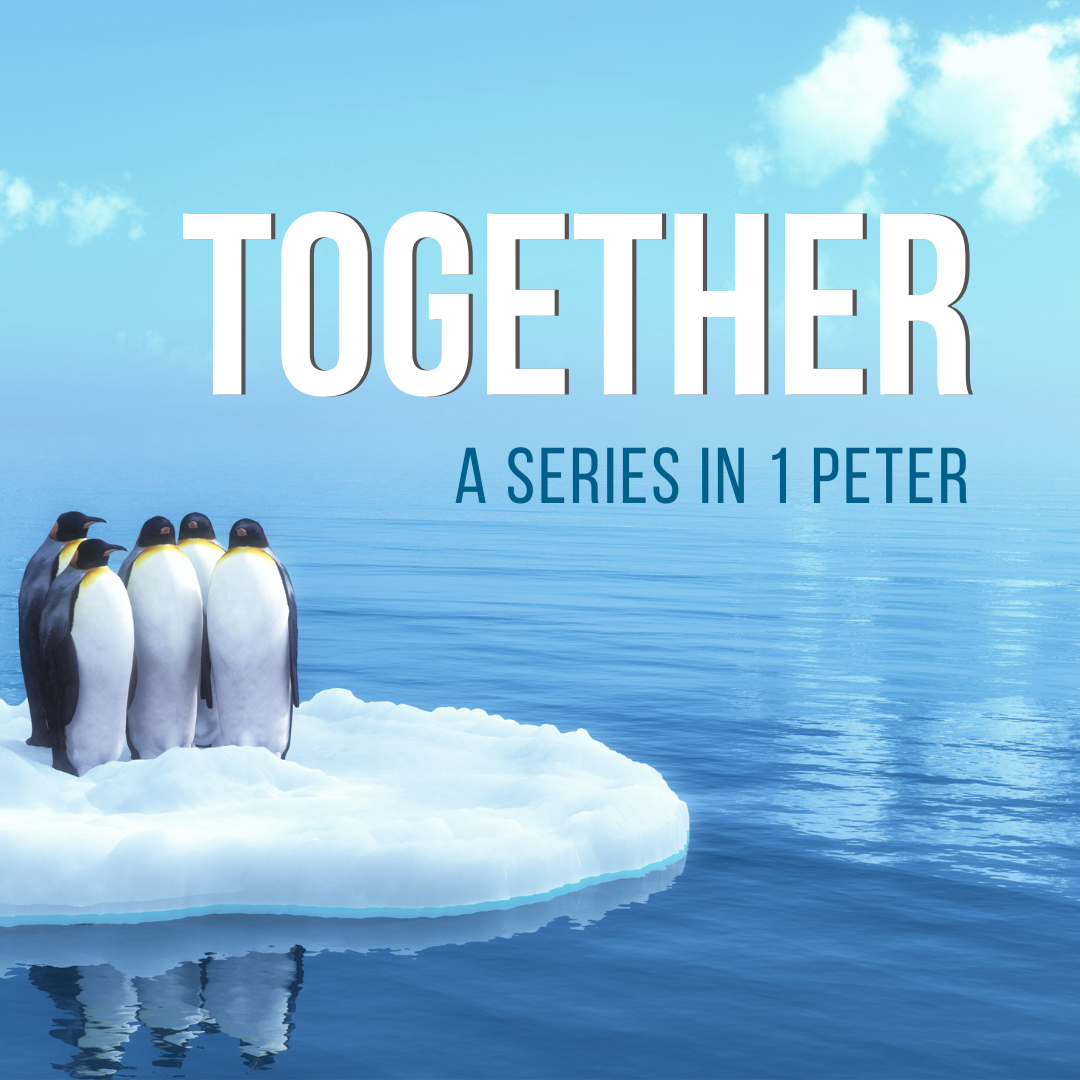 Together Fully Alive In Jesus