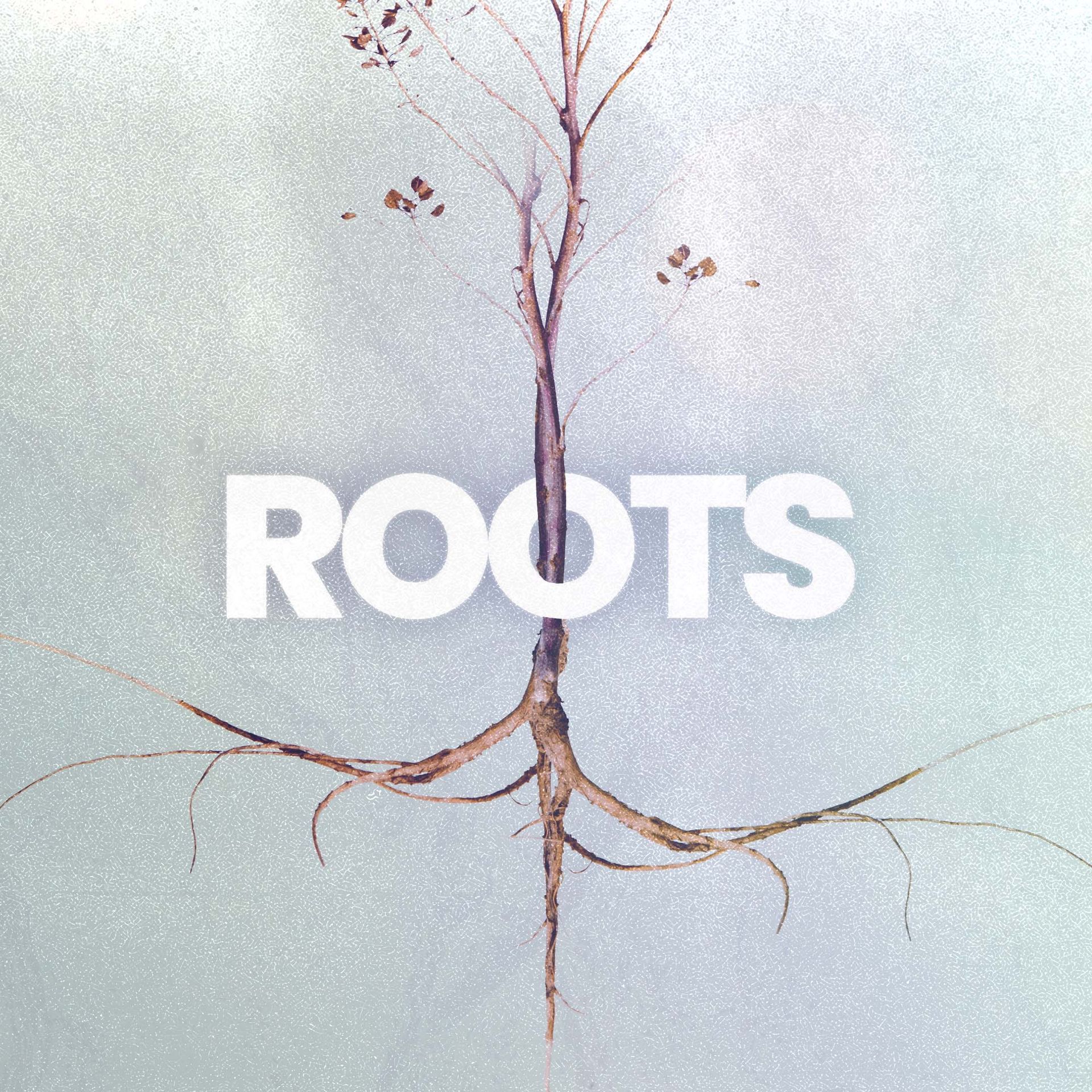 Roots: How Salvation Works - Why Is Life So Hard?