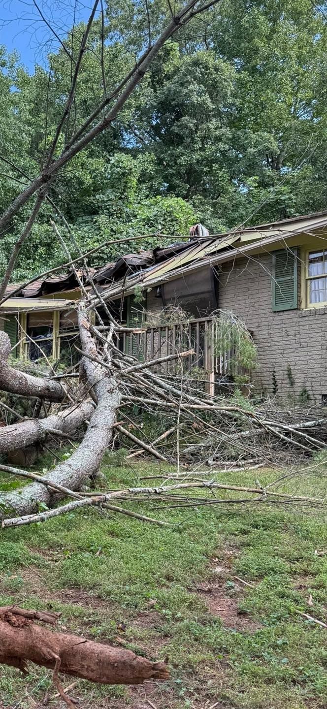 A tree has fallen on a house, damaging the roof and porch. Green grass and trees surround.