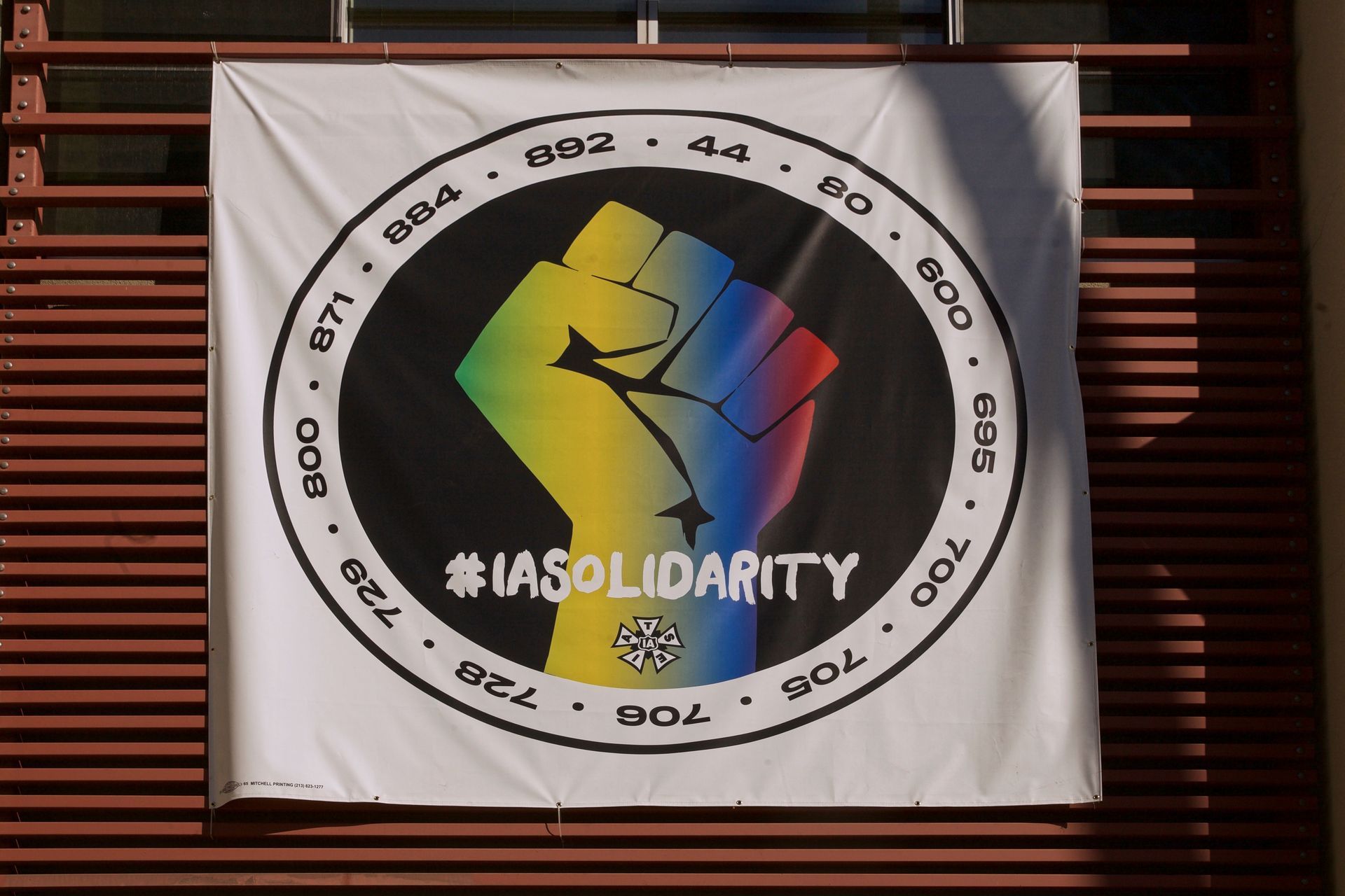 A colorful fist with the words #iasolidarity on it