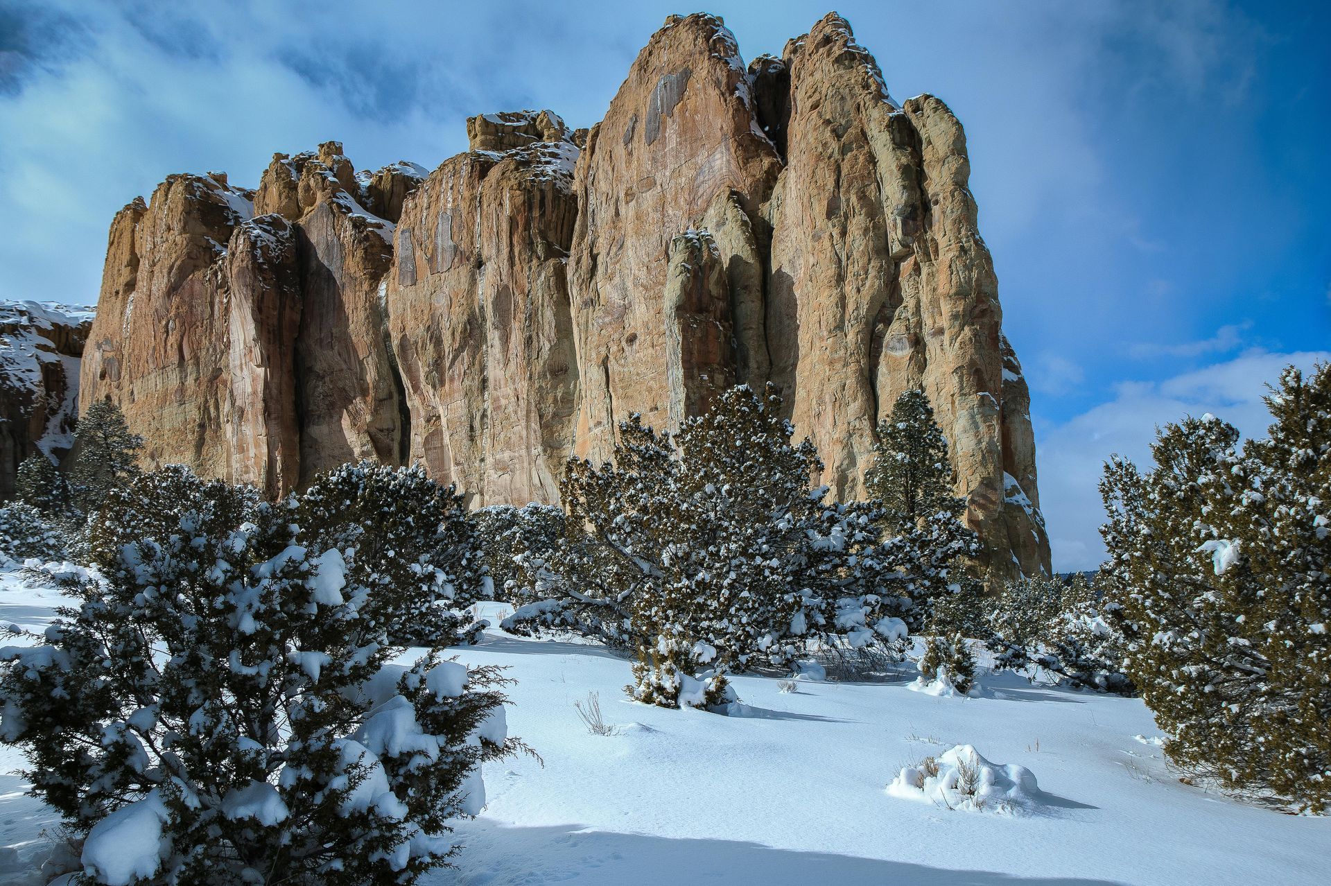 new mexico in snow