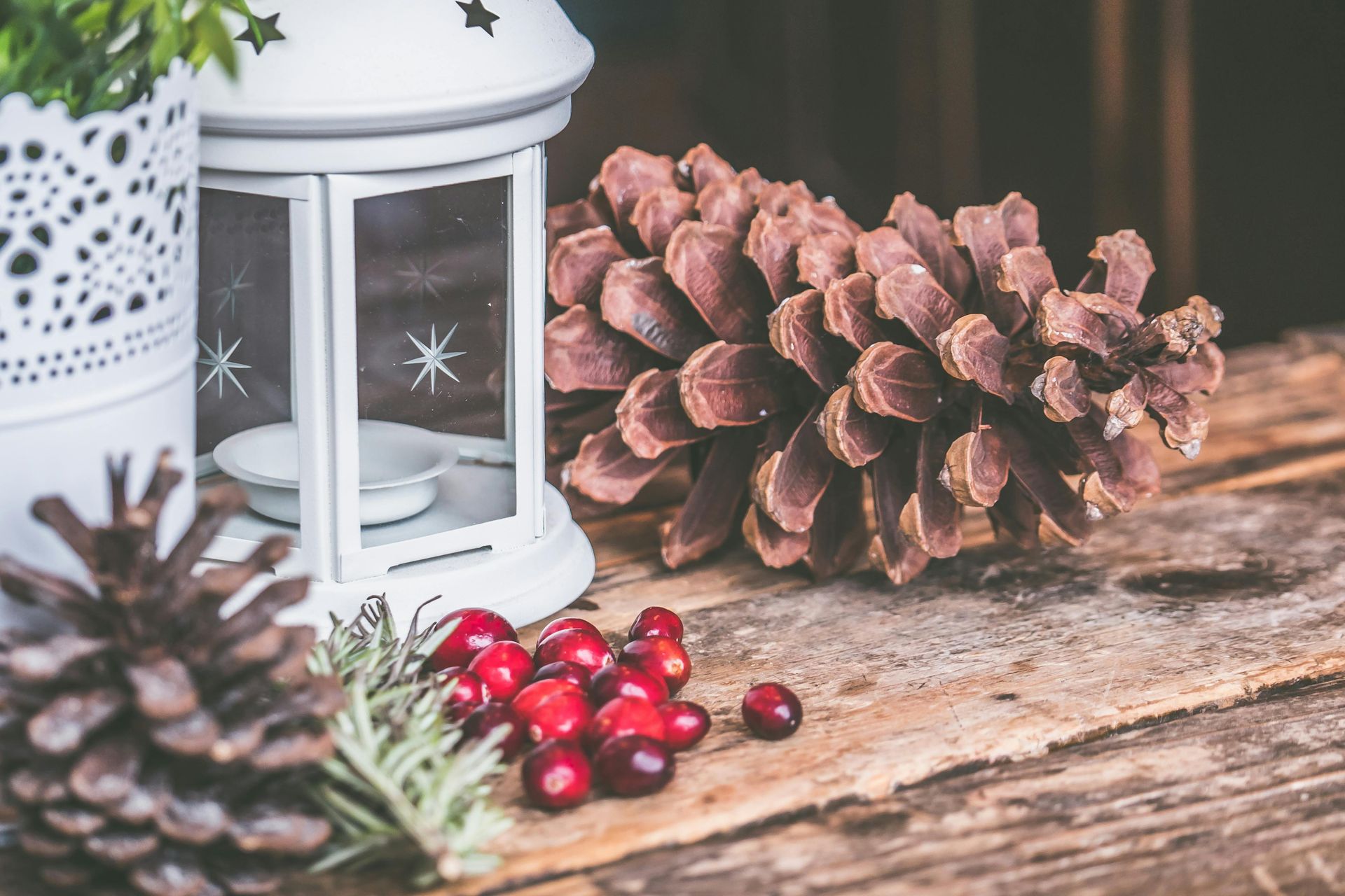White lantern, pinecones, cranberries, and greenery on a wooden surface, creating a festive still life.