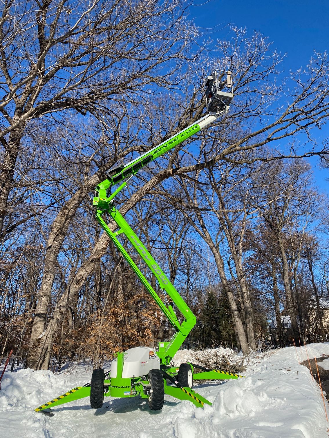Dead Wooding | Minneapolis, MN | Arbor Tree Service