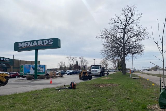 After Cutting a Tree | Minneapolis, MN | Arbor Tree Service