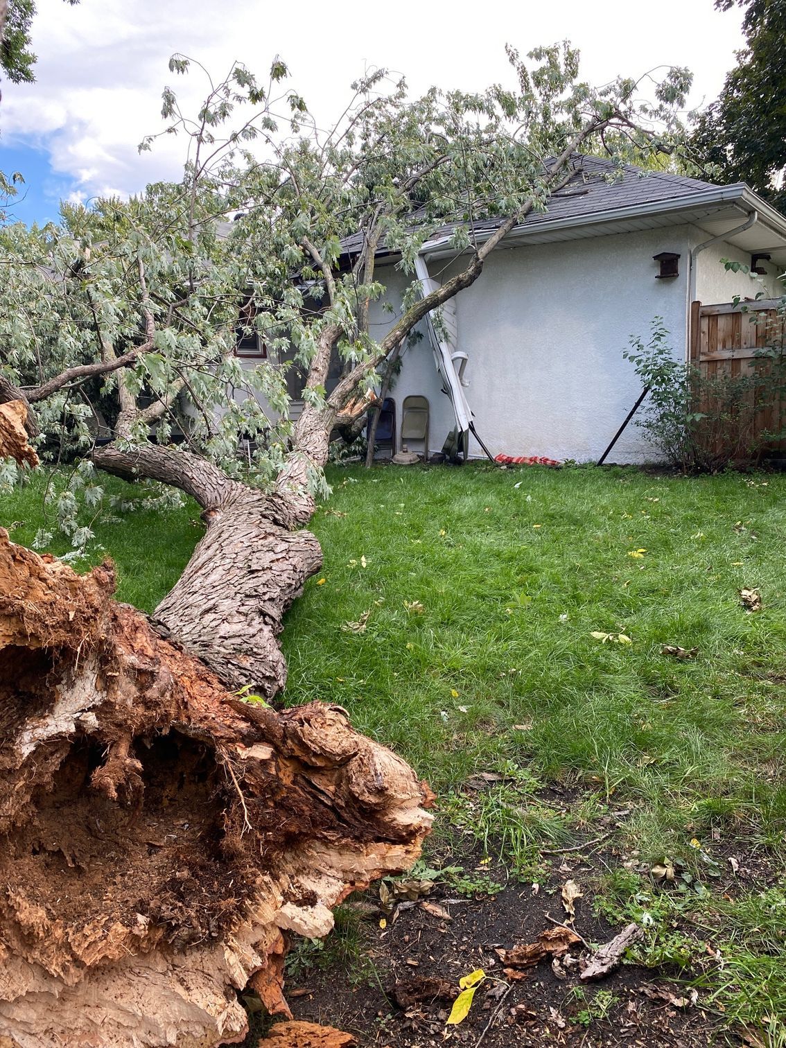 Storm Damage | Minneapolis, MN | Arbor Tree Service