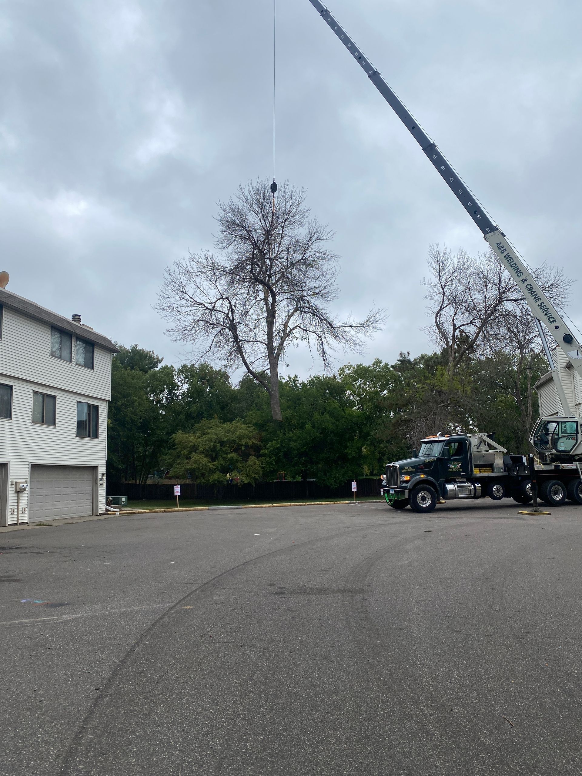 Crane Lifting a Tree | Minneapolis, MN | Arbor Tree Service