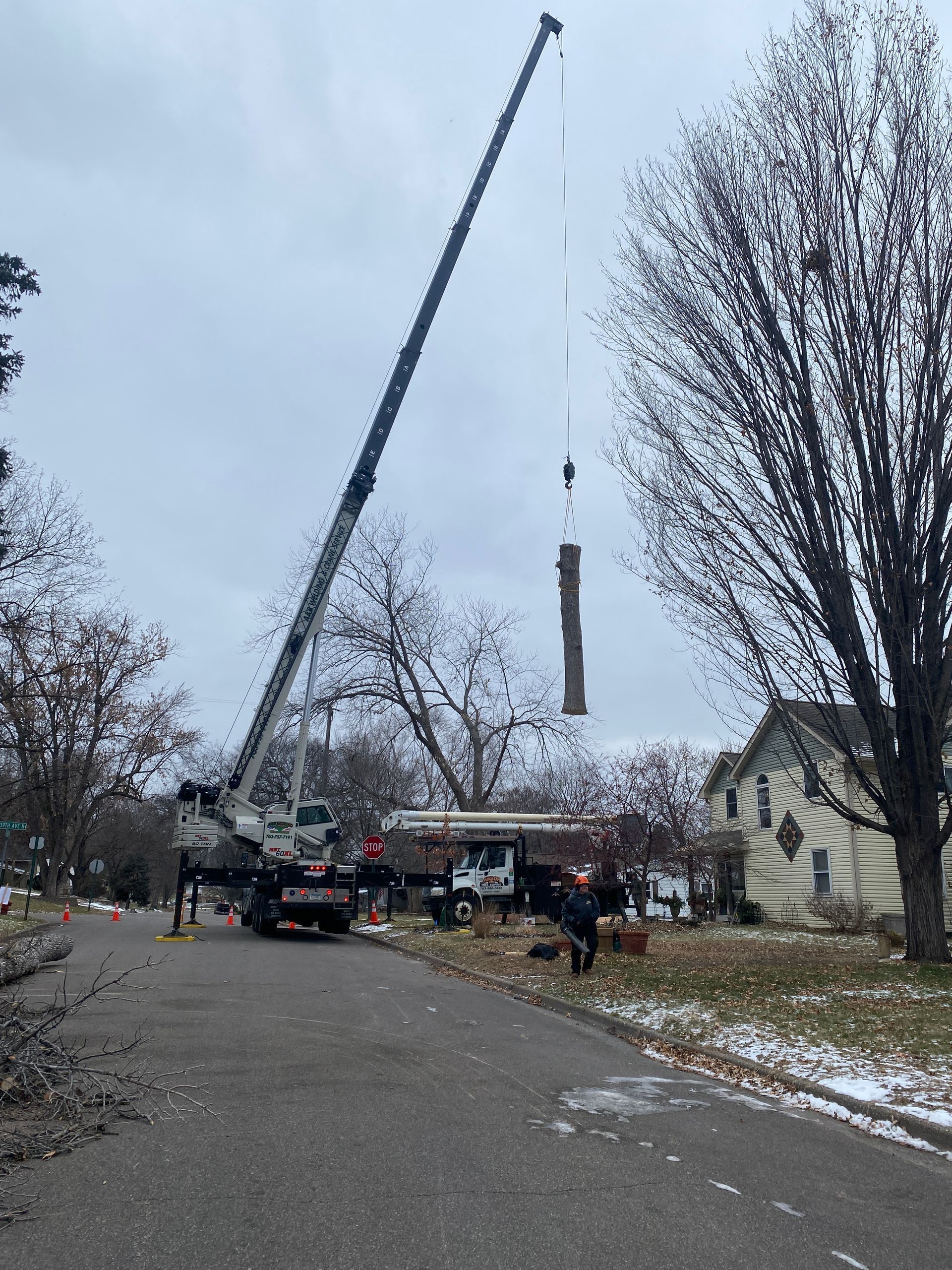 A Crane Lifting a Tree Trunk | Minneapolis, MN | Arbor Tree Service