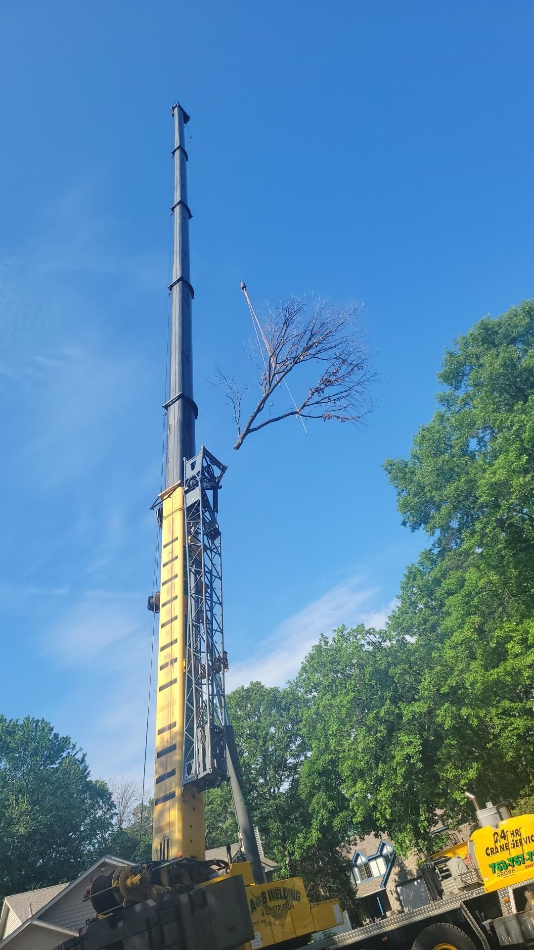 A Crane Lifting a Tree Branch | Minneapolis, MN | Arbor Tree Service